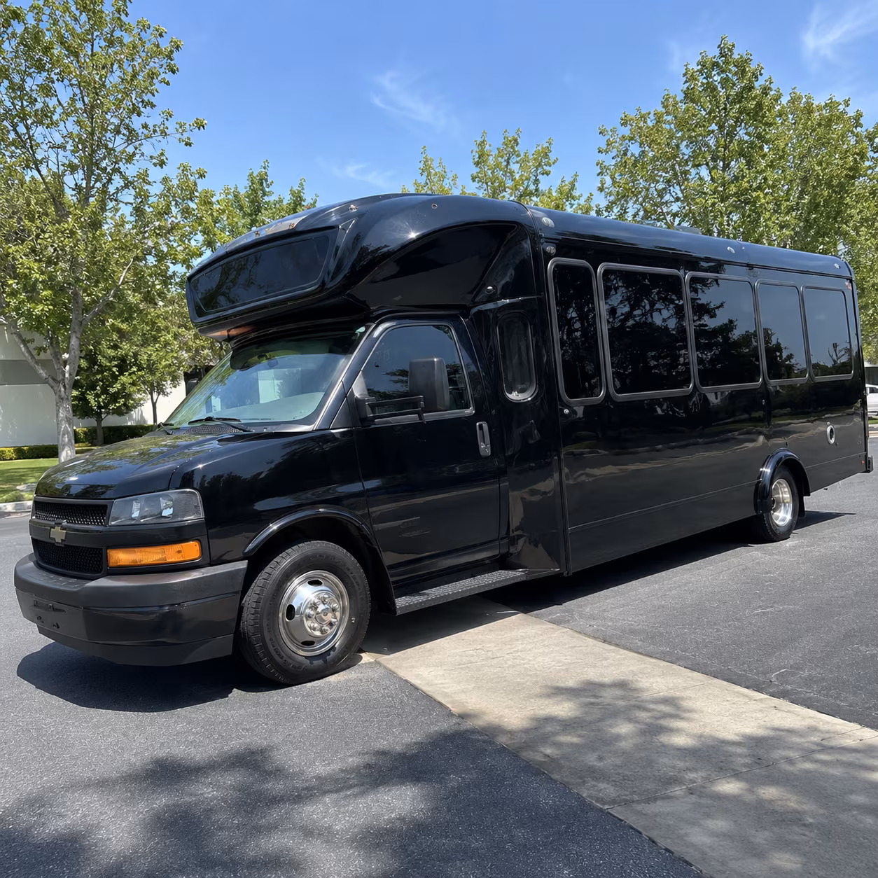 mesa 15 passenger party bus