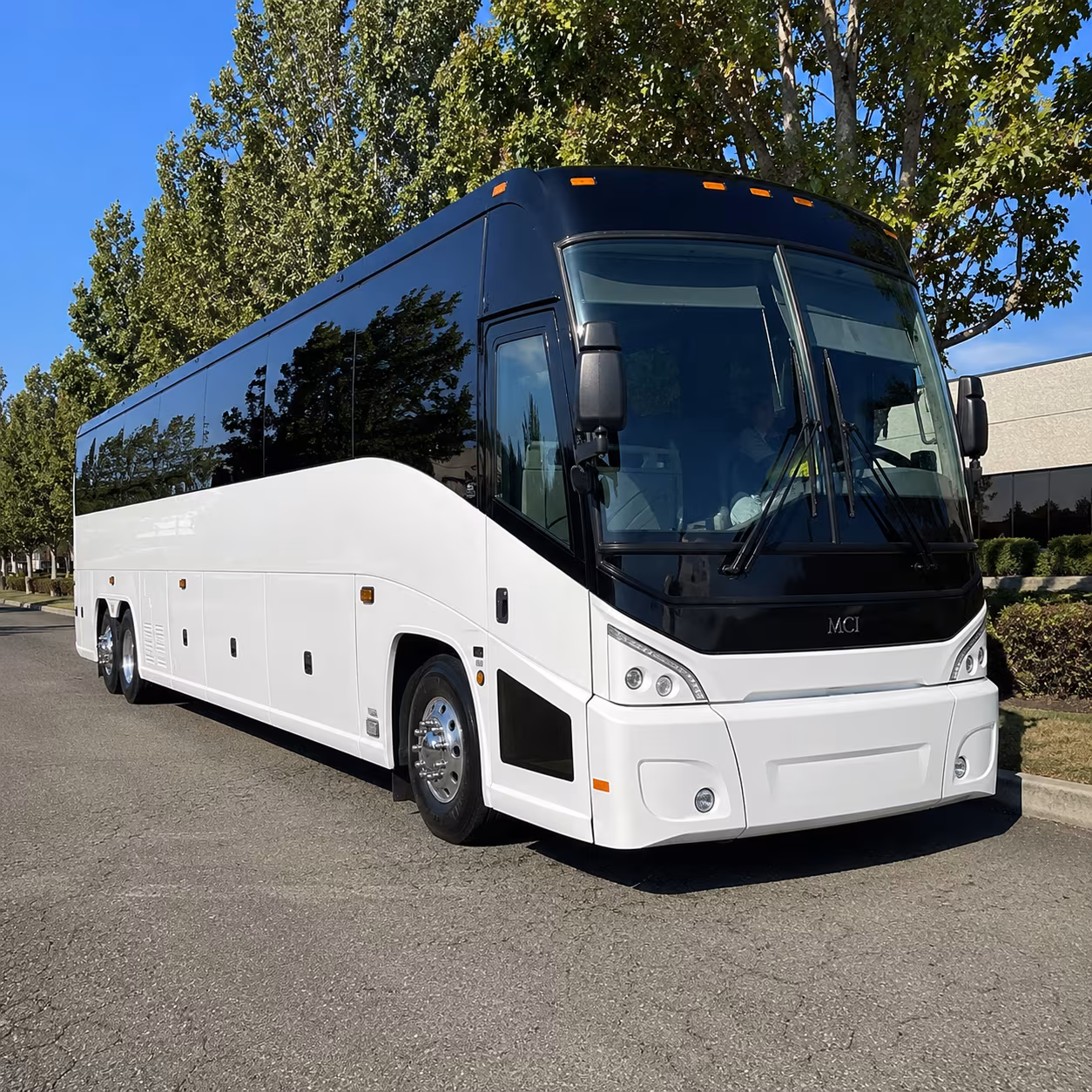 mesa 50 passenger charter bus