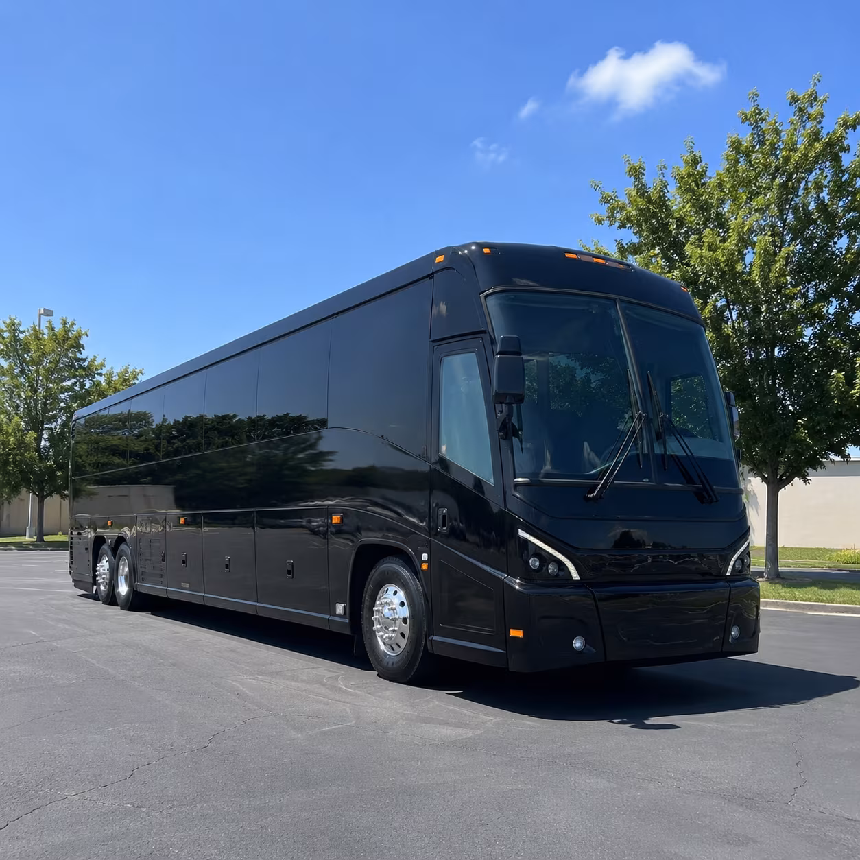 mesa 56 passenger charter bus