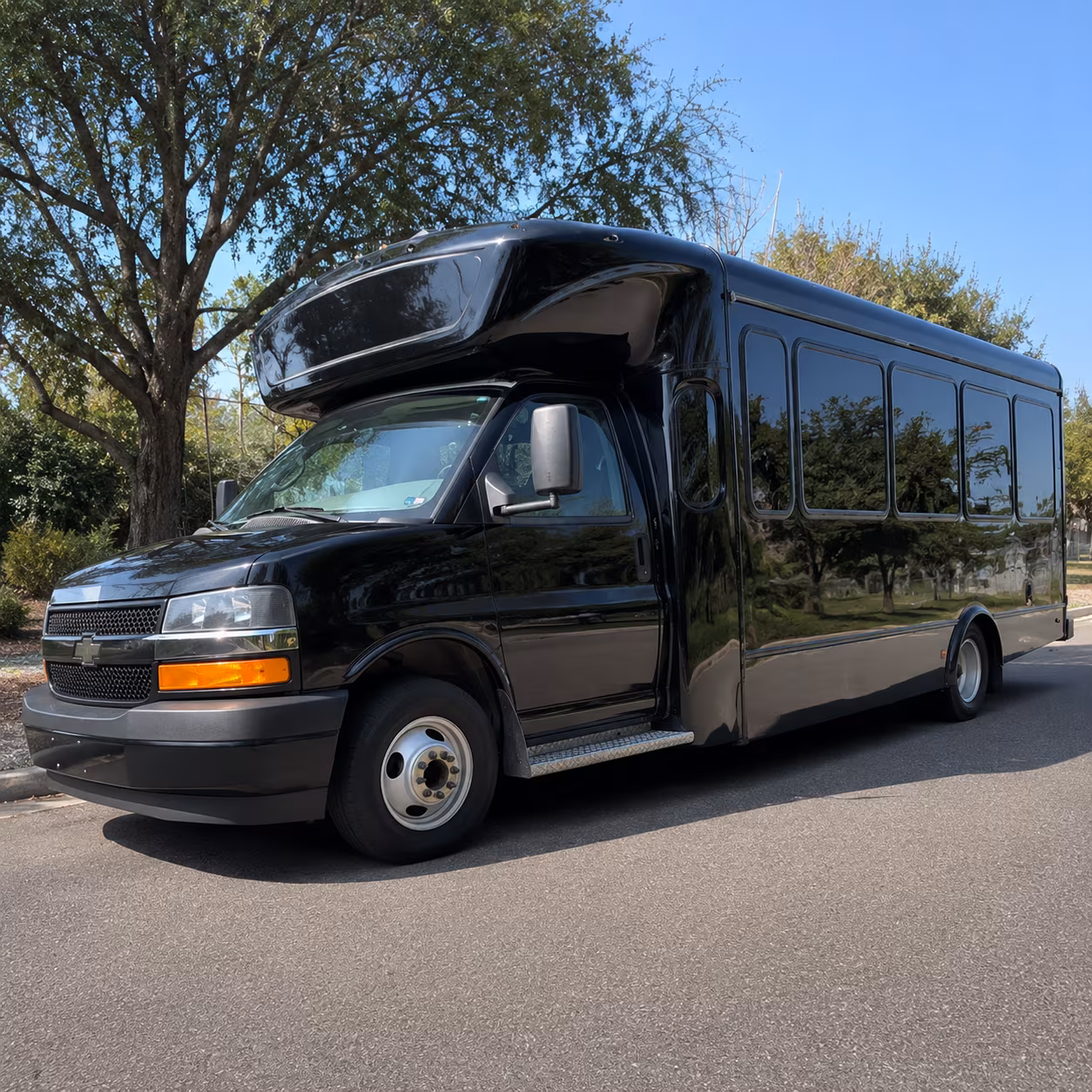 mesa new years eve party bus rental