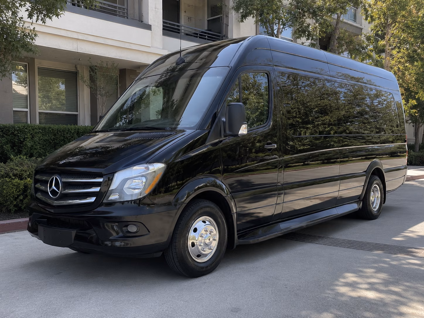 mesa sprinter van with driver